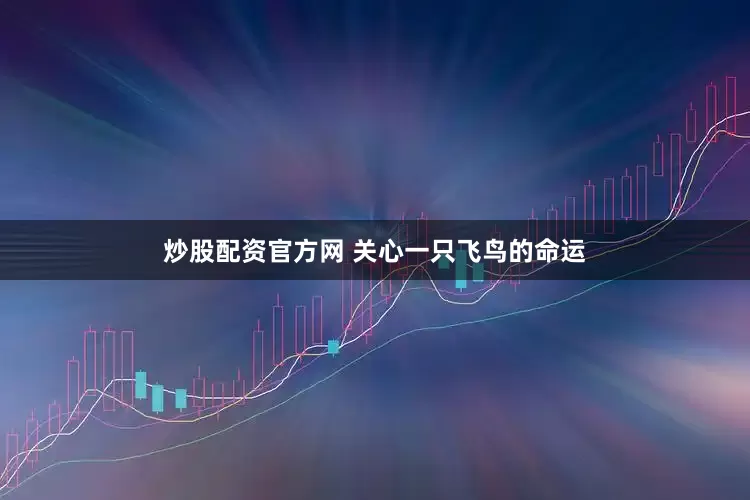 炒股配资官方网 关心一只飞鸟的命运