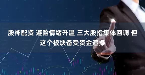 股神配资 避险情绪升温 三大股指集体回调 但这个板块备受资金追捧
