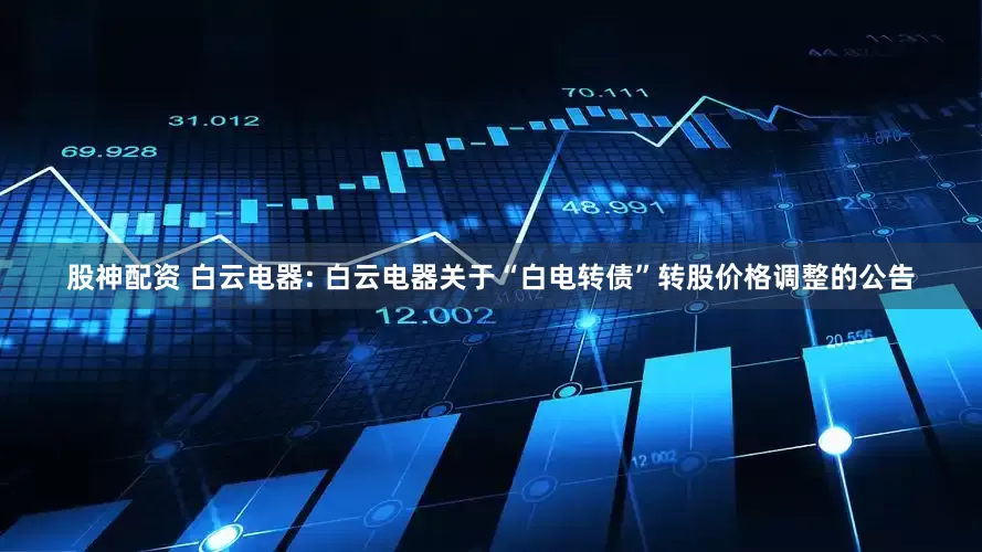 股神配资 白云电器: 白云电器关于“白电转债”转股价格调整的公告