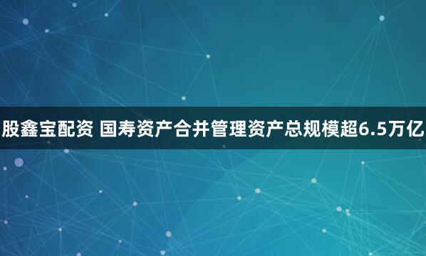 股鑫宝配资 国寿资产合并管理资产总规模超6.5万亿